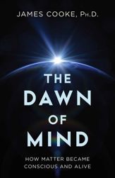 Dawn of Mind - 3 Dec 2024