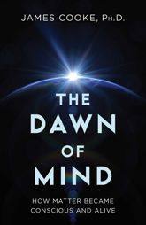 Dawn of Mind - 3 Dec 2024