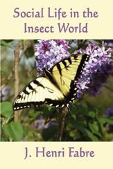 Social Life in the Insect World - 8 Mar 2013