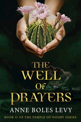 The Well of Prayers - 9 Aug 2016