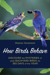 How Birds Behave - 13 Jan 2020