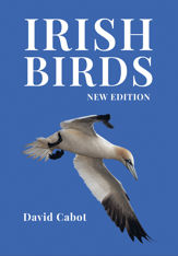 Irish Birds - 29 Apr 2021