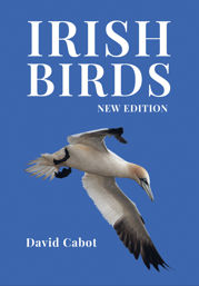 Irish Birds - 29 Apr 2021