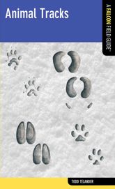 Animal Tracks - 5 Jun 2012