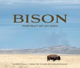 Bison - 23 Mar 2021