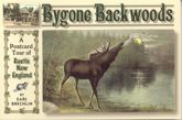 Bygone Backwoods - 1 Jan 2005