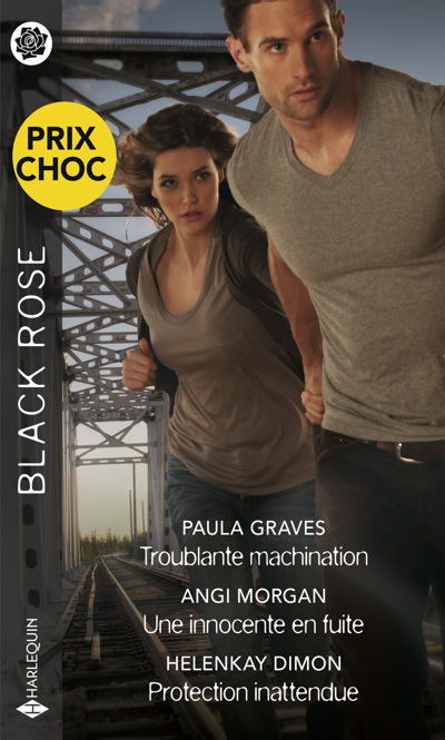 Troublante machination - Une innocente en fuite - Protection inattendue