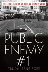 Public Enemy Number One - 15 Nov 2015