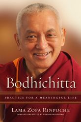 Bodhichitta - 21 May 2019