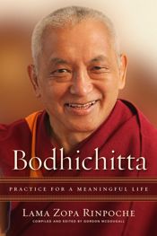 Bodhichitta - 21 May 2019