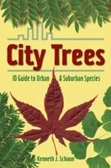 City Trees - 4 Aug 2011