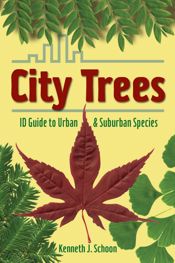 City Trees - 4 Aug 2011