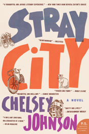 Stray City - 20 Mar 2018