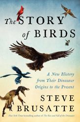 The Story of Birds - 28 Apr 2026