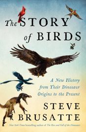 The Story of Birds - 28 Apr 2026