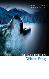 White Fang - 28 Aug 2014
