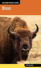 Bison - 2 Apr 2013