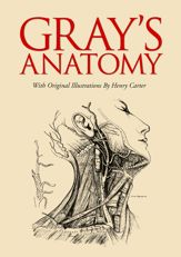 Gray's Anatomy - 15 Jul 2009