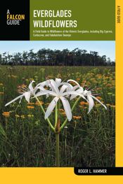 Everglades Wildflowers - 6 Jan 2015