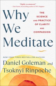 Why We Meditate - 6 Dec 2022