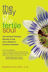 The Way of the Fertile Soul - 6 Nov 2007