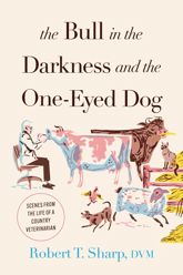The Bull in the Darkness and the One-Eyed Dog - 15 May 2023