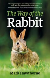 The Way of the Rabbit - 31 Jul 2021