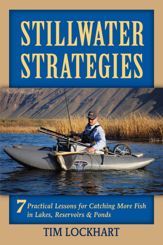 Stillwater Strategies - 1 Jan 2013