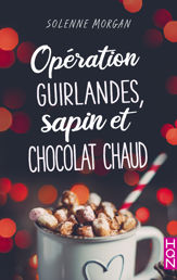 Opération guirlandes, sapin et chocolat chaud - 13 Nov 2019