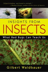 Insights From Insects - 1 May 2010
