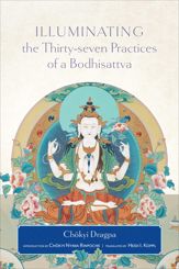 Illuminating the Thirty-Seven Practices of a Bodhisattva - 14 Jul 2015