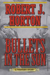 Bullets in the Sun - 10 Feb 2015