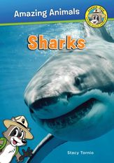 Sharks - 22 Dec 2017