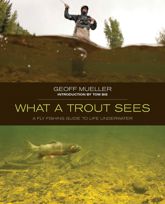 What a Trout Sees - 2 Apr 2013