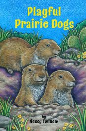 Playful Prairie Dogs - 9 Jul 2020