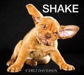 Shake - 22 Oct 2013