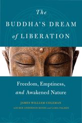 The Buddha's Dream of Liberation - 27 Jun 2017