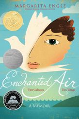 Enchanted Air - 4 Aug 2015