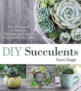 DIY Succulents - 7 Aug 2015