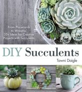 DIY Succulents - 7 Aug 2015