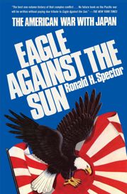 Eagle Against the Sun - 11 Dec 2012