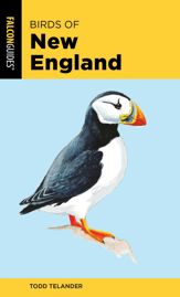Birds of New England - 1 Jun 2020
