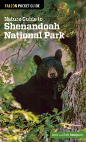 Nature Guide to Shenandoah National Park - 6 Aug 2013