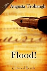 Flood! - 6 Mar 2013