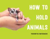 How to Hold Animals - 3 Nov 2020