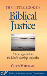 Little Book of Biblical Justice - 1 Nov 2005