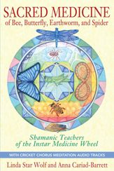 Sacred Medicine of Bee, Butterfly, Earthworm, and Spider - 4 Jan 2013