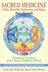 Sacred Medicine of Bee, Butterfly, Earthworm, and Spider - 4 Jan 2013