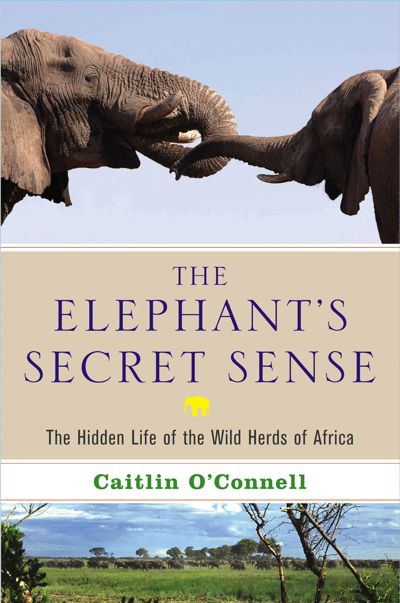 The Elephant's Secret Sense