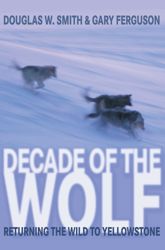 Decade of the Wolf - 17 Apr 2012